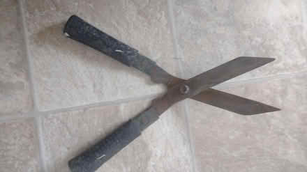 Photo of free Garden shears (Harden BD16) #1