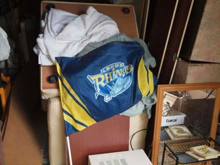 Photo of free leeds rhinos flag (Oakwood LS8) #1