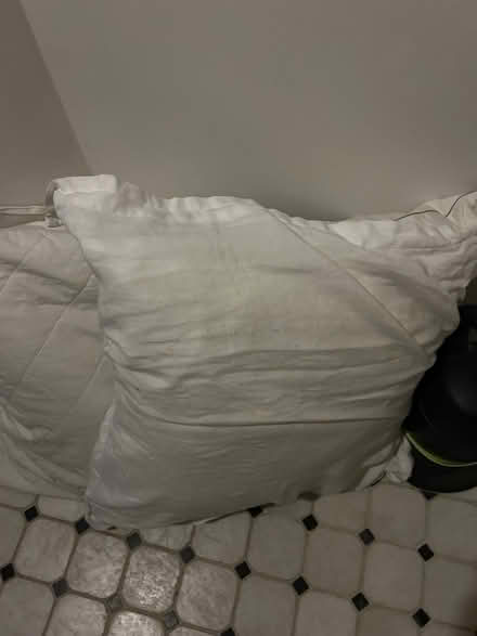 Photo of free Two large pillows (Westbourne Park W11) #1