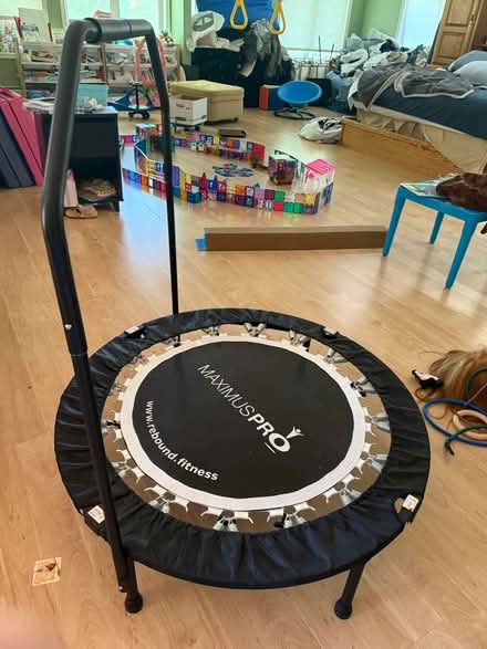 Photo of free Exercise trampoline (Town of Poughkeepsie) #1