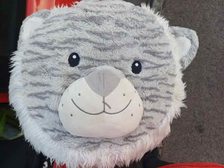 Photo of free Cat cushion (GL4) #1