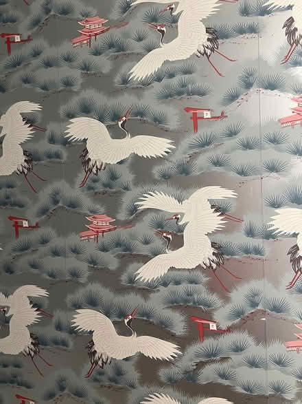 Photo of free Asian/Japanese Wallpaper (Adams Morgan) #2