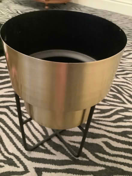 Photo of free Gold metal plant with stand…. (Rochford SS4) #1