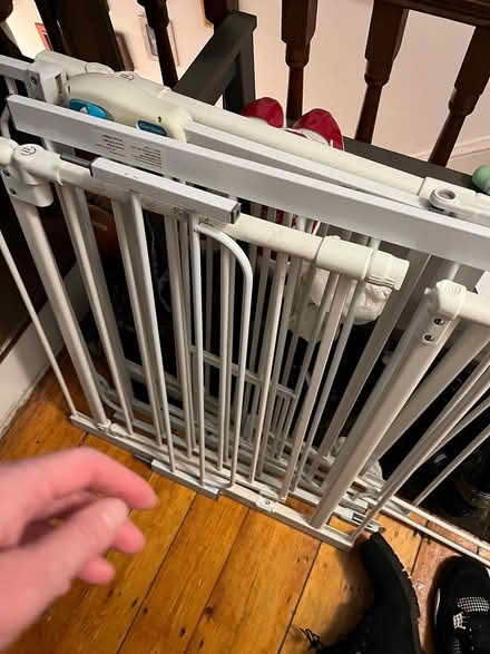 Photo of free Dog things (Cambridgeport) #2