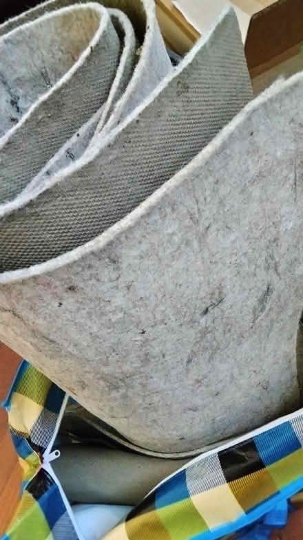 Photo of free felt rug pad (downtown Frederick) #1