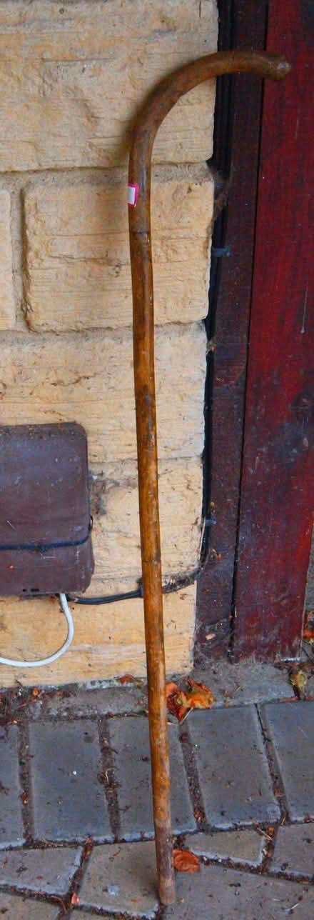 Photo of free vintage walking stick (Oakwood LS8) #1