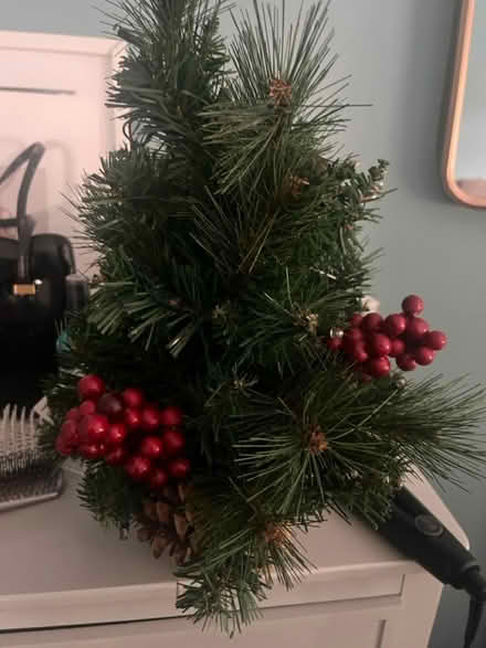 Photo of free Small Christmas Tree (Ballyhackamore) #3