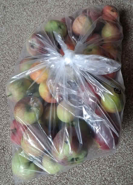 Photo of free Bag of Spartan Windfall Apples (Catshill B61) #1