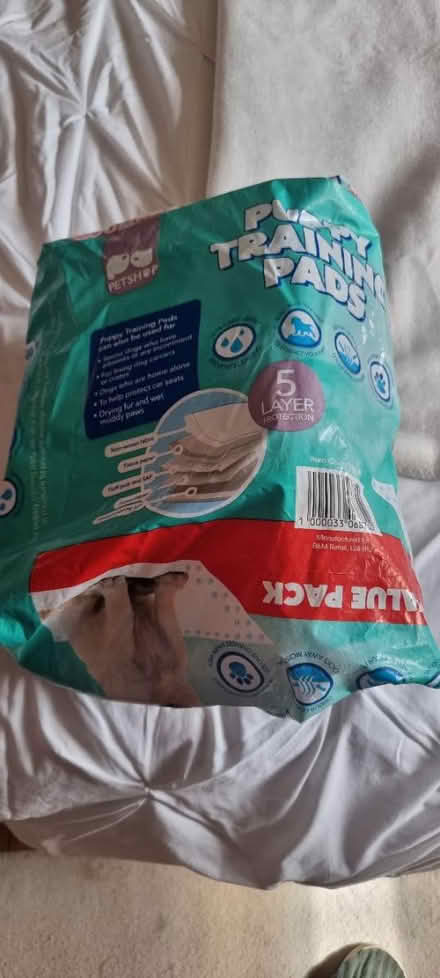 Photo of free Puppy pads (Tilehurst RG30) #1