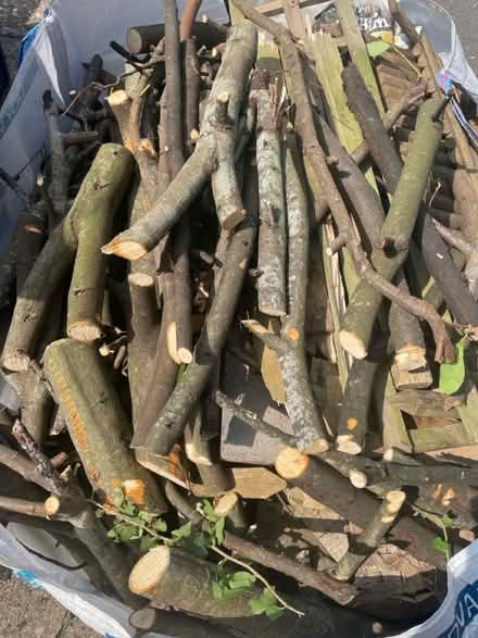 Photo of free Logs/firewood (Farncombe GU7) #1
