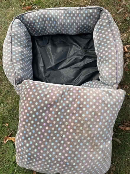 Photo of free Pet bed (Wainscott) #2