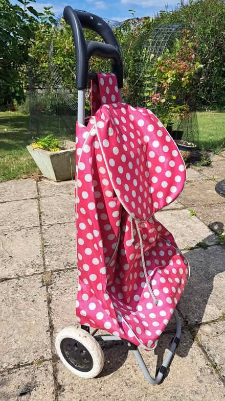 Photo of free Shopping trolley (Steyning BN44) #1
