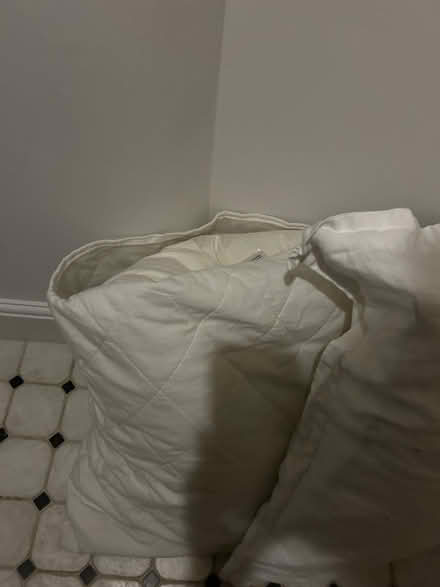 Photo of free Two large pillows (Westbourne Park W11) #2