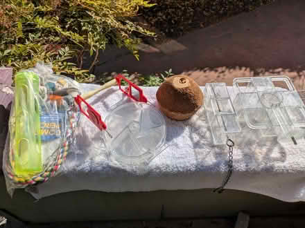 Photo of free Bird toys (West End) #3