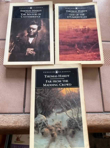 Photo of free Thomas hardy books (Northcourt OX14) #1