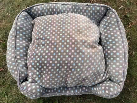 Photo of free Pet bed (Wainscott) #1