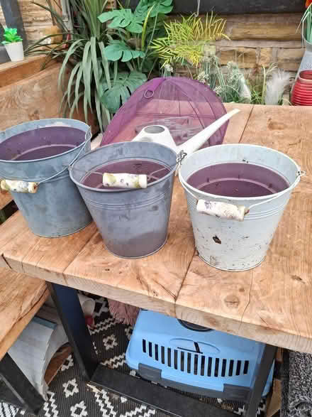 Photo of free 3 metal decorative plant pots (Crookes S10) #1
