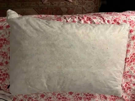 Photo of free Pillow (UES) #1