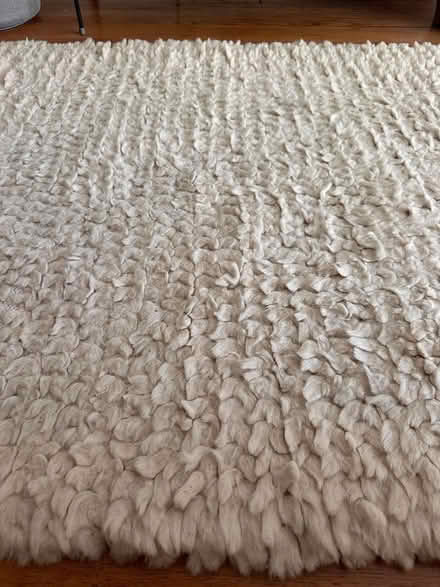 Photo of free Off White Area Rug 39" x 63" (Marin) #2