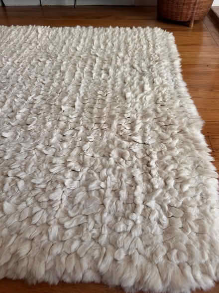Photo of free Off White Area Rug 39" x 63" (Marin) #3