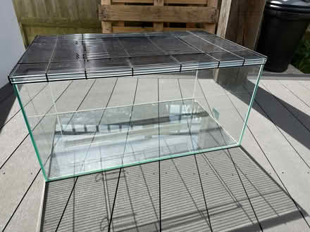 Photo of free Gerbilarium glass tank (Steyning BN44) #1