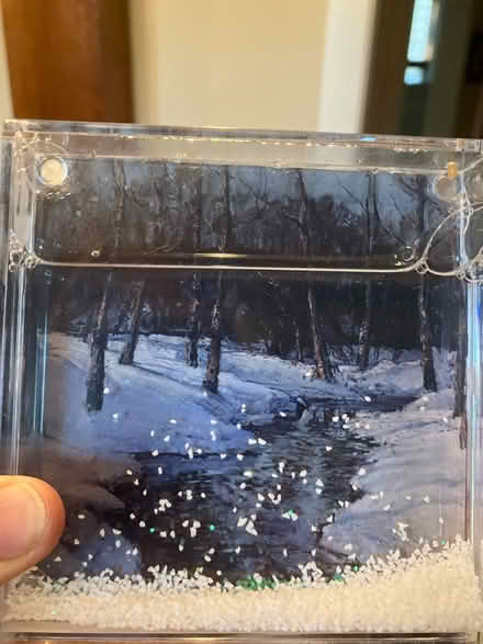 Photo of free Snow globe (Havertown) #1