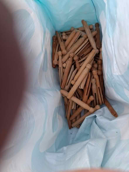 Photo of free Wooden pegs (Crookes S10) #1