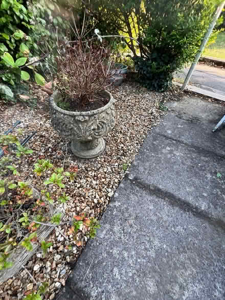 Photo of free Heavy Stone/concrete Planters (Queens Park BH8) #4