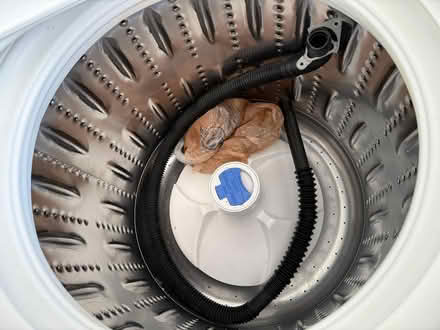 Photo of free Washer & Dryer (Baldwin & N Holly Rd) #3