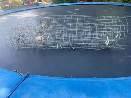 Photo of free Roll of wire (Long Wittenham OX14) #1