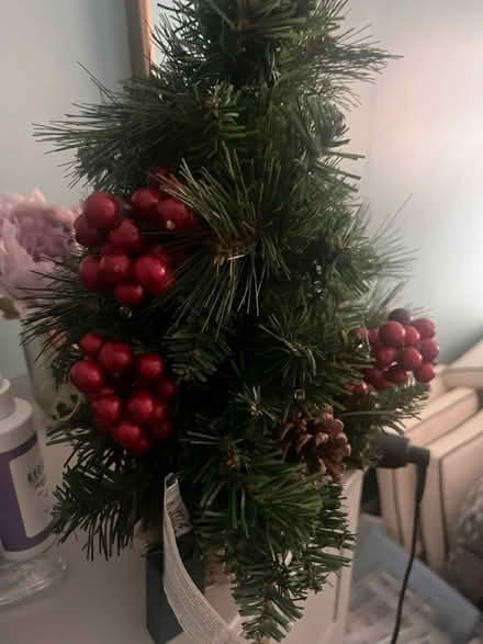 Photo of free Small Christmas Tree (Ballyhackamore) #4