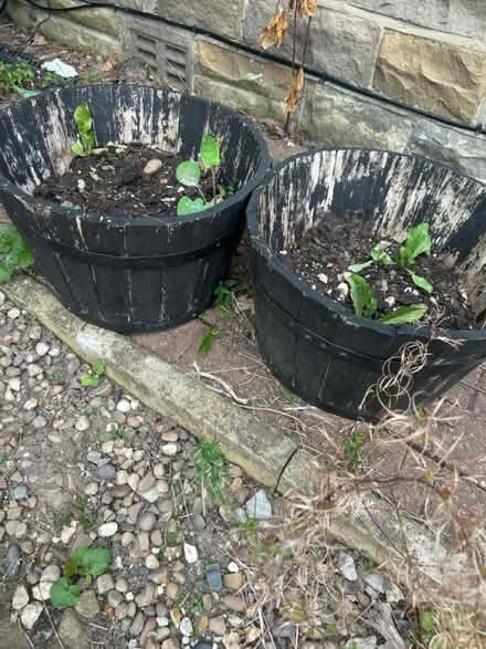 Photo of free Two used wooden planters (BD18 Wrose) #1