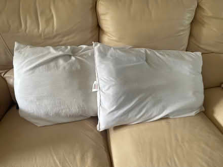 Photo of free 2 pillows, washed (Lordswood ME5) #1
