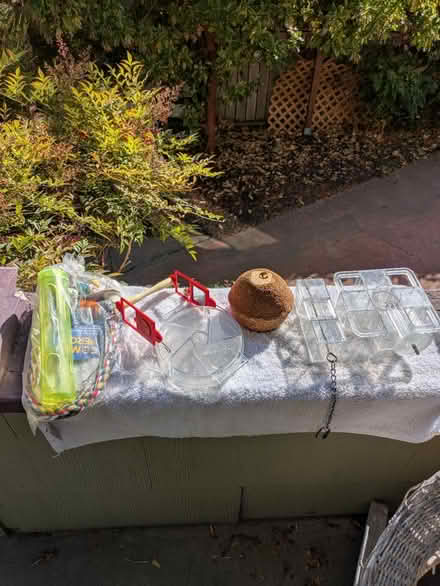 Photo of free Bird toys (West End) #1
