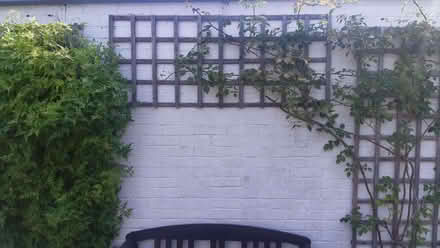 Photo of Garden trellis (Twyford RG10) #1
