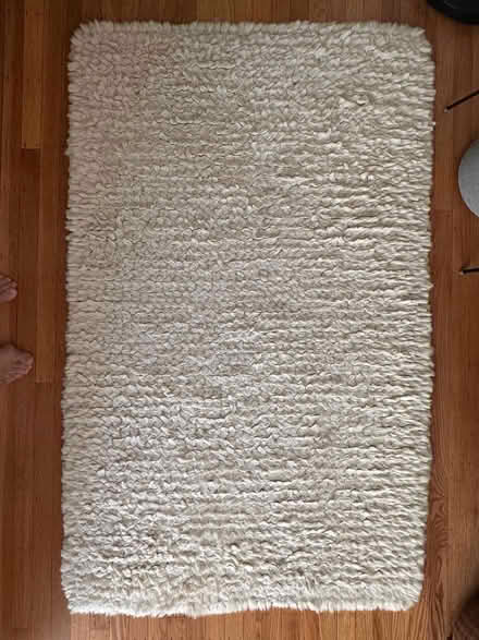 Photo of free Off White Area Rug 39" x 63" (Marin) #1