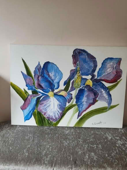 Photo of free 2 Canvases (Braintree) #1