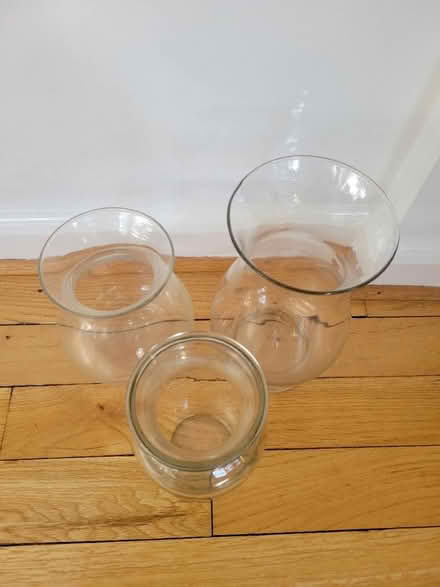 Photo of free Glass flower vases (Cathedral Heights) #2
