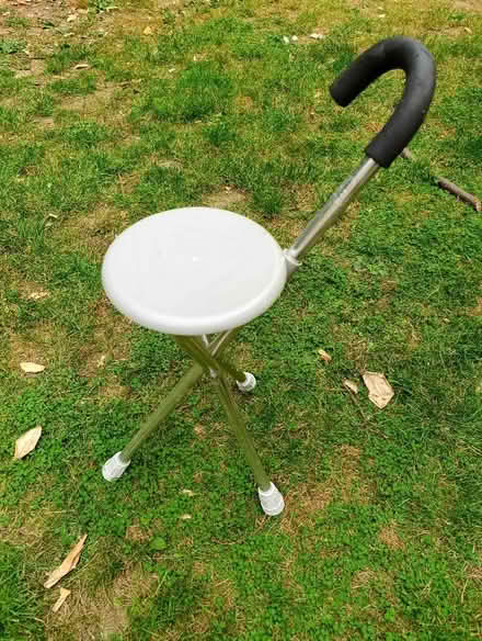 Photo of free Walking stick/seat (CO12) #1