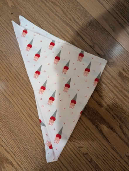 Photo of free Dog Bandana (Everett/Malden) #1