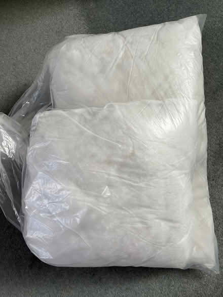 Photo of free Cushion pads (Mid Clevedon BS21) #4