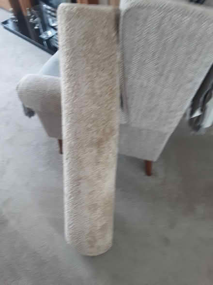 Photo of free Rug (Hitchin SG5) #1