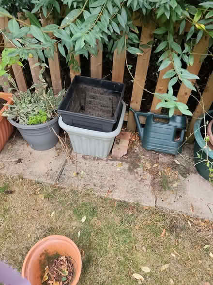 Photo of free Largeish plastic pots (South Wootton PE30) #3