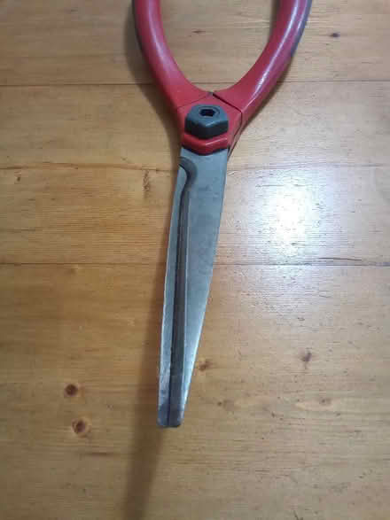 Photo of free Garden Shears (Catherine-de-Barnes B91) #1