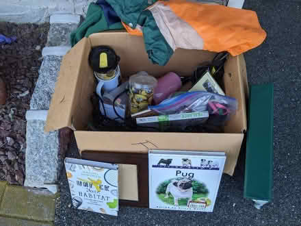 Photo of free curb alert (Plainview Long Island) #2
