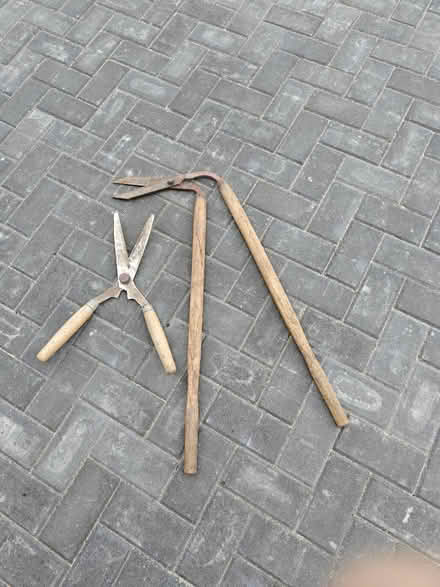 Photo of free Hedge and garden trimmers (Hazel Grove SK7) #1