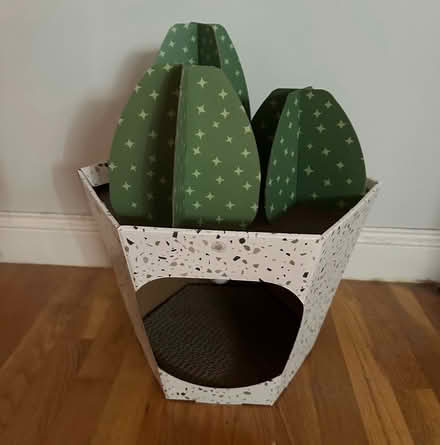 Photo of free Cactus cat house (Burlington near Woburn line) #1