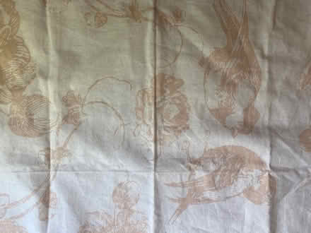 Photo of free Cloth Dinner Napkins (Scaggsville) #1
