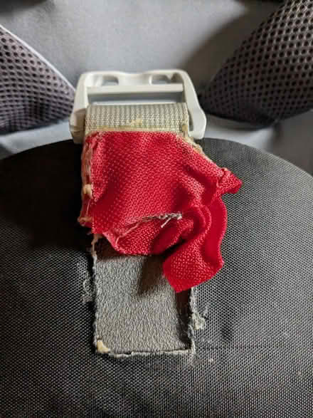 Photo of free Little life back carrier (repairs) (Belper DE56) #4