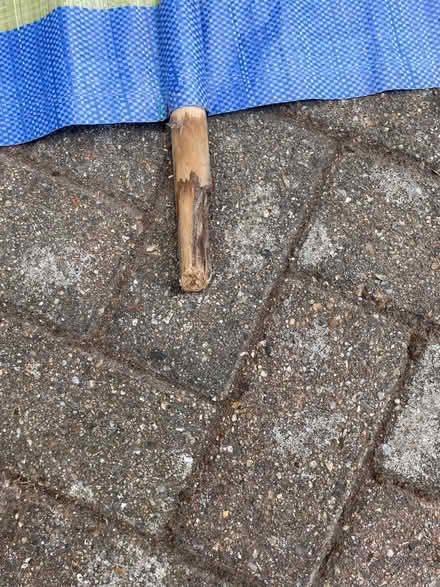 Photo of free Windbreak (Sidley TN39) #2